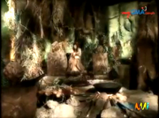 Encantadia 66