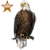Item baldeaglebronze 02.png