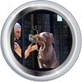 Key to Pirates Online Wiki