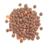 Brown lentils