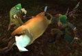 Amberpine Woodsman.jpg