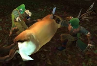 Amberpine Woodsman