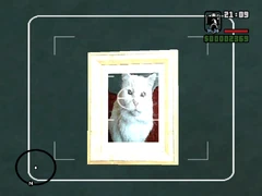 GTA SA Gato