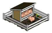 Full Pigpen