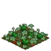 Green Pumpkins 66