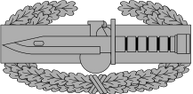 Combat Action Badge History | RM. Combat Action Badge History | RM.