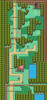 Ruta 30 mapa HGSS