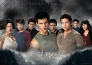 Wolf Pack Eclipse Wallpaper by maso