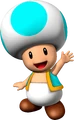 Cyan Toad NSMBVR