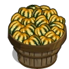 Carnival Squash Bushel-icon