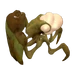 Shieldbug.png