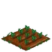 Spinach 33