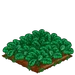 Spinach extra100