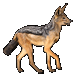 Item Jackal 01