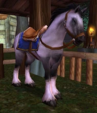 Riding White Stallion.jpg