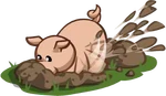Pig truffles huntin