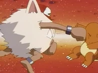 EP025 Primeape usando golpe
