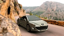 RCZ.gif