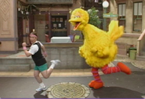 DarioBigBirdExercise