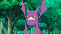 Brock Crobat