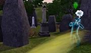 Barnacle bay sleepy ghost