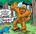 Shaggy Dawg 001