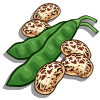 Image:Pinto Bean-icon.png