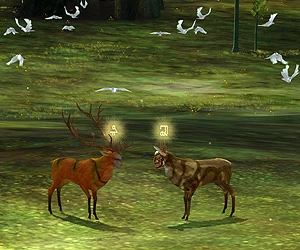 TheEndlessForest 300x250 2.jpg