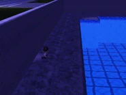 Troglodyte Praying