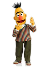 Bert-NEW