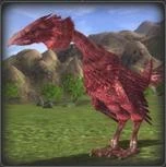 Poultry02.jpg
