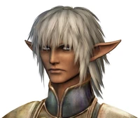 ElvaanMale