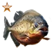 Item redpiranhabronze 01
