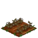 Pinto Beans withered