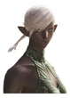 ElezenWildwood f bust