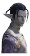 ElezenDuskwight m bust