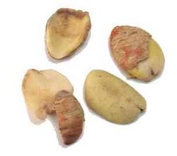 Ogbono