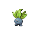Oddish Pt