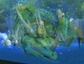 Ysera (Emerald Dragonshrine).jpg