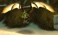 Tick.jpg