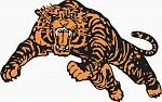 Princeton tiger.jpg