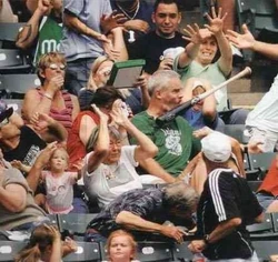 T1 baseball bat fan