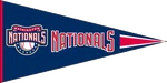 Nats Pennant