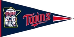 Twins Pennant