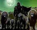 Catman 0010