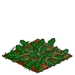Square Melon 33