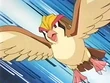 EP133 Pidgeot (2)