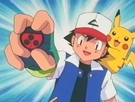EP146 ¡Ash ha ganado la medalla Colmena!