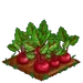 Sweet Beets extra100