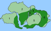 Pangaea Glossopteris